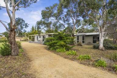 Farm For Sale - TAS - Swansea - 7190 - Room to Move with a View  (Image 2)