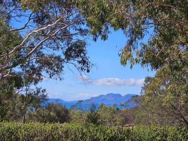 Farm For Sale - TAS - Swansea - 7190 - Room to Move with a View  (Image 2)