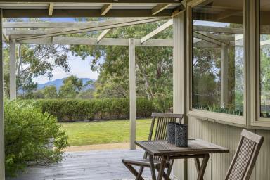 Farm For Sale - TAS - Swansea - 7190 - Room to Move with a View  (Image 2)