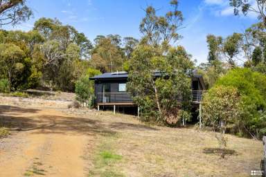 Farm Sold - TAS - Old Beach - 7017 - Tranquil bush retreat  (Image 2)