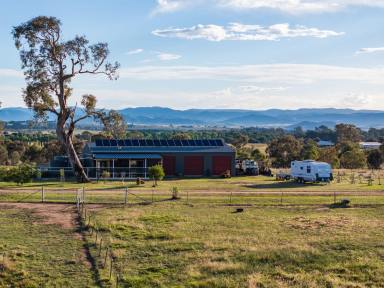 Farm Sold - NSW - Jeir - 2582 - 120*Acres of Privacy & Views on The Capital's Doorstep  (Image 2)