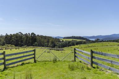 Farm For Sale - TAS - Koonya - 7187 - 20 hectare private free-hold paradise: your rural retreat awaits  (Image 2)
