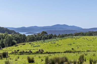 Farm Sold - TAS - Koonya - 7187 - 20 hectare private free-hold paradise: your rural retreat awaits  (Image 2)