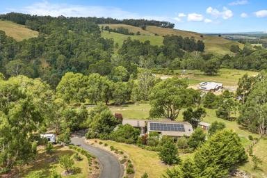 Farm For Sale - VIC - Yallourn North - 3825 - A picturesque haven nestled in the heart of rural beauty  (Image 2)