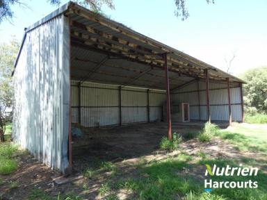 Farm Auction - QLD - Chinchilla - 4413 - Sold Under The Hammer  (Image 2)