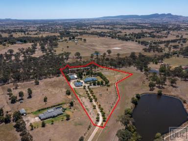Farm For Sale - NSW - Table Top - 2640 - Rural Lifestyle At Its Best  (Image 2)