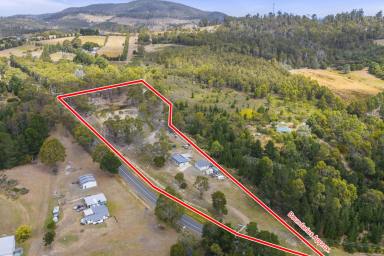 Farm For Sale - TAS - Copping - 7174 - Your home among the gum trees  (Image 2)