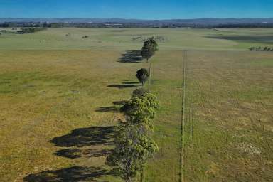 Farm For Sale - WA - Albany - 6330 - Expansive Country Living, Endless Possibilities  (Image 2)