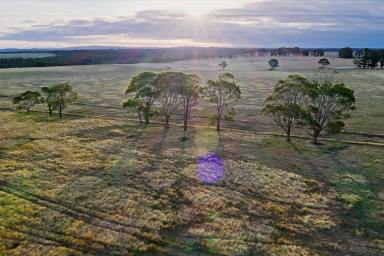Farm For Sale - WA - Albany - 6330 - Expansive Country Living, Endless Possibilities  (Image 2)
