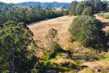 Farm For Sale - NSW - Belbora - 2422 - Outstanding Hobby Block!  (Image 2)