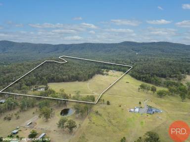 Farm Sold - NSW - Congewai - 2325 - RURAL HIDEAWAY ON 104 ac  (Image 2)