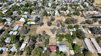 Farm For Sale - NSW - Moree - 2400 - A PENNY FOR MANY POSSIBILITIES  (Image 2)