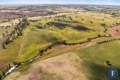 Farm For Sale - NSW - Boorowa - 2586 - LIFESTYLE & PRIMARY PRODUCTION OPPORTUNITY!  (Image 2)