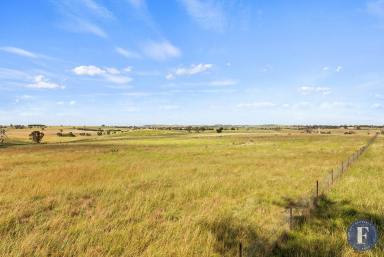 Farm For Sale - NSW - Boorowa - 2586 - LIFESTYLE & PRIMARY PRODUCTION OPPORTUNITY!  (Image 2)