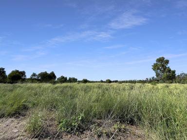 Farm Auction - QLD - Drillham South - 4424 - Lifestyle, starter block opportunity or adjoin another!  (Image 2)