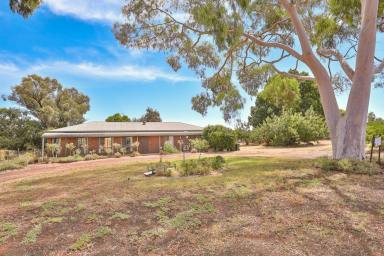 Farm Sold - VIC - Irymple - 3498 - MAKE THIS YOUR OWN  (Image 2)