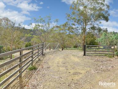 Farm For Sale - TAS - Glenfern - 7140 - Discover Your Dream Lifestyle  (Image 2)