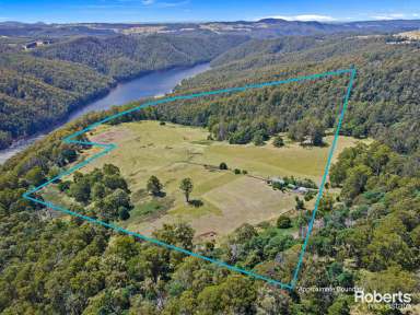 Farm For Sale - TAS - Staverton - 7306 - Paddocks for livestock, 2 bedroom home & studio on 105 acres (approx.)  (Image 2)