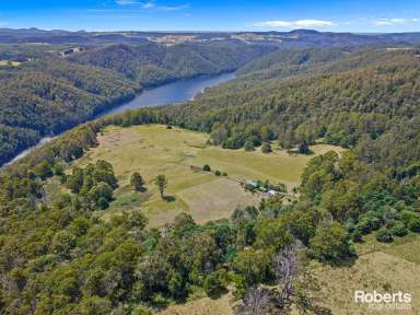 Farm For Sale - TAS - Staverton - 7306 - Paddocks for livestock, 2 bedroom home & studio on 105 acres (approx.)  (Image 2)