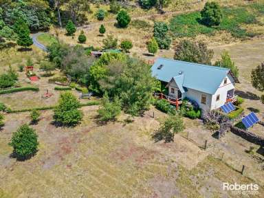 Farm For Sale - TAS - Staverton - 7306 - Paddocks for livestock, 2 bedroom home & studio on 105 acres (approx.)  (Image 2)