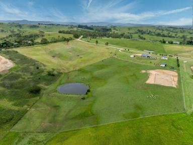 Farm For Sale - NSW - Wolumla - 2550 - LIFESTYLE LIVING AT ITS BEST  (Image 2)
