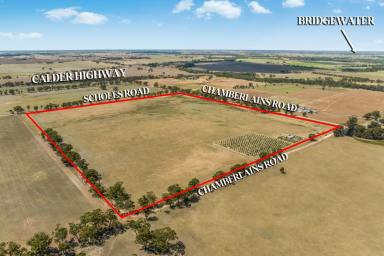 Farm For Sale - VIC - Inglewood - 3517 - High Quality, Productive Weekend Getaway  (Image 2)