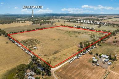 Farm For Sale - VIC - Inglewood - 3517 - High Quality, Productive Weekend Getaway  (Image 2)