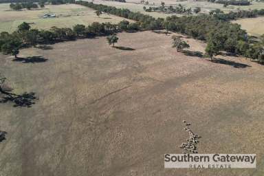 Farm Sold - WA - Kendenup - 6323 - SOLD BY TAMMY LESLIE - SOUTHERN GATEWAY REAL ESTATE  (Image 2)