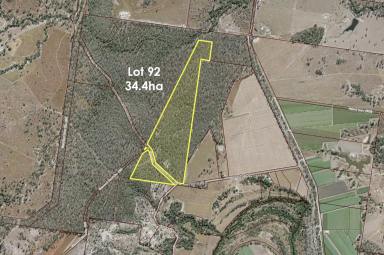 Farm For Sale - QLD - Bucca - 4670 - 188.4ha LEASEHOLD CATTLE COUNTRY BUCCA  (Image 2)