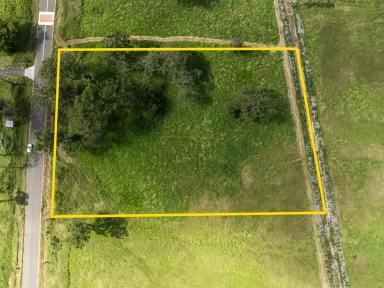 Farm For Sale - NSW - Berry - 2535 - Your Vision, Your Oasis  (Image 2)