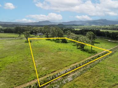 Farm For Sale - NSW - Berry - 2535 - Your Vision, Your Oasis  (Image 2)