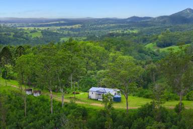 Farm For Sale - NSW - Willi Willi - 2440 - Secluded Retreat in Stunning Hinterland Setting = Outstanding Value  (Image 2)