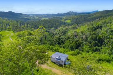 Farm For Sale - NSW - Willi Willi - 2440 - Secluded Retreat in Stunning Hinterland Setting = Outstanding Value  (Image 2)
