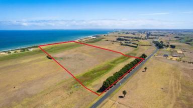 Farm For Sale - VIC - Narrawong - 3285 - POSTPONED DUE TO ESTATE PLANNING  (Image 2)