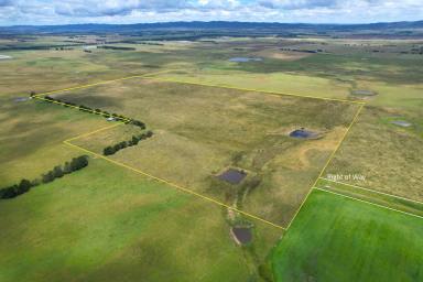 Farm For Sale - NSW - Goulburn - 2580 - Prime Location, Prime Land  (Image 2)