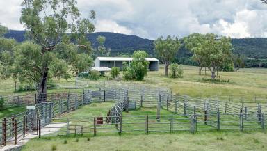 Farm Auction - NSW - Elcombe - 2404 - Horton River Workhorse  (Image 2)