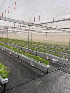 Farm For Sale - NT - Marrakai - 0822 - High Rainfall Fertile Land 9ha - Can be used for Farming or Residence  (Image 2)