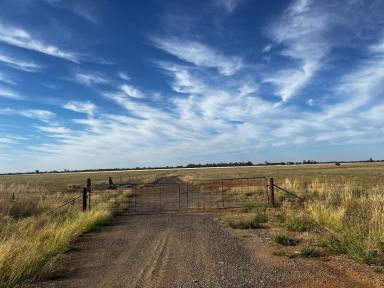 Farm For Sale - VIC - Diggora West - 3561 - Prime Cropping and Grazing Country  (Image 2)