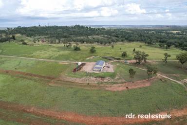 Farm For Sale - NSW - Warialda - 2402 - ENJOY THE "LONG VIEW"  (Image 2)