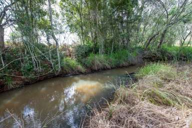 Farm For Sale - QLD - South Isis - 4660 - LIFESTYLE BLOCK WITH PERMANENT CREEK  (Image 2)