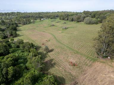 Farm For Sale - QLD - South Isis - 4660 - LIFESTYLE BLOCK WITH PERMANENT CREEK  (Image 2)
