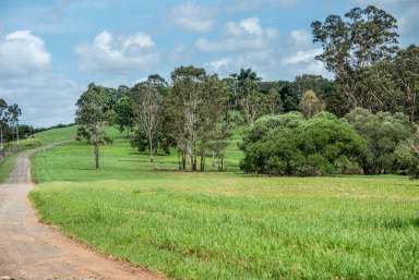 Farm For Sale - QLD - South Isis - 4660 - LIFESTYLE BLOCK WITH PERMANENT CREEK  (Image 2)