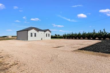 Farm For Sale - VIC - Cardross - 3496 - The start to your dream, set on 1 acre!  (Image 2)