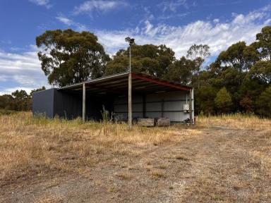 Farm Sold - VIC - Barongarook - 3249 - Outstanding High Profile Colac District Acreage  (Image 2)