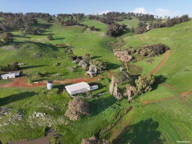 Farm For Sale - WA - Lower Hotham - 6390 - "Rocky Springs"  (Image 2)