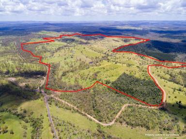 Farm For Sale - QLD - Good Night - 4671 - "OXHILL" EXCELLENT SCRUB GRAZING  (Image 2)
