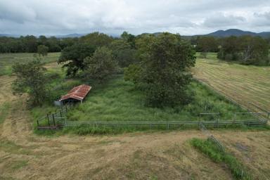 Farm For Sale - QLD - Boyne Valley - 4680 - High Performance Riverfront Grazing  (Image 2)