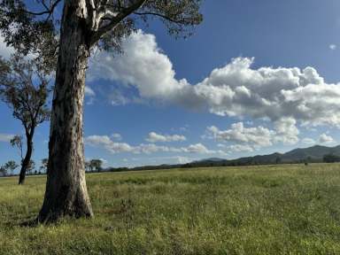 Farm For Sale - QLD - Boyne Valley - 4680 - High Performance Riverfront Grazing  (Image 2)