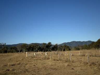 Farm For Sale - QLD - Boyne Valley - 4680 - High Performance Riverfront Grazing  (Image 2)