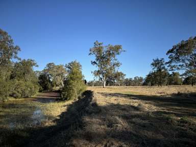 Farm For Sale - QLD - Boyne Valley - 4680 - High Performance Riverfront Grazing  (Image 2)